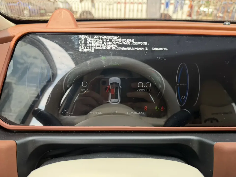 ORA Euler good cat 401km standard range luxury lithium iron phosphate 2024 — миниатюра 3