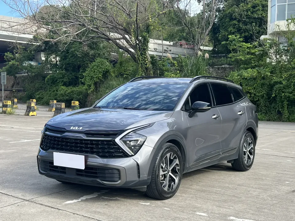 Kia Lion Platinum Expands the Boundary 2024