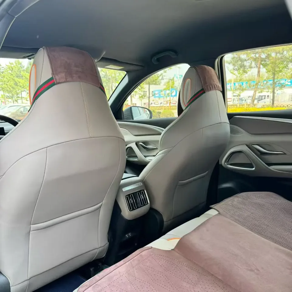 BYD Song Pro DM DM-i Champion Edition 71km Pilot Edition 2024 — миниатюра 3