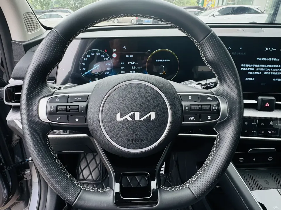 Kia Lion Platinum Expands the Boundary 2023 Lion Bo Tuojie 2.0T 2WD Luxury Edition 2024 — миниатюра 3