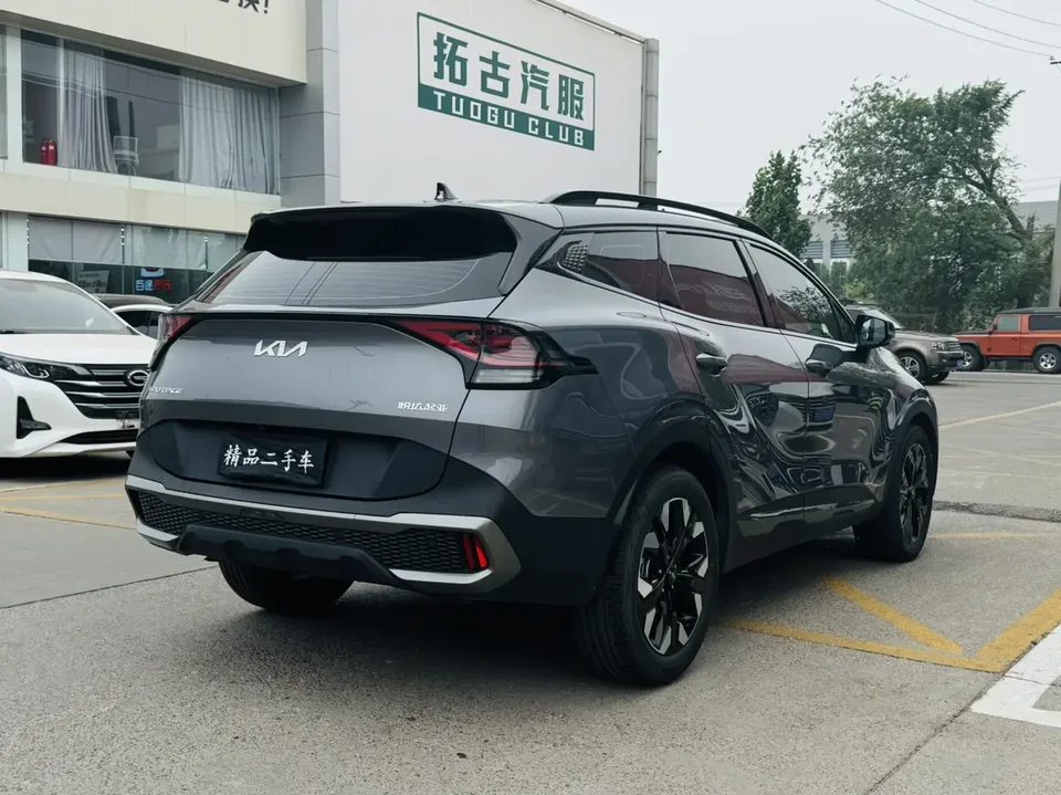 Kia Lion Platinum Expands the Boundary 2023 Lion Bo Tuojie 2.0T 2WD Luxury Edition 2024 — миниатюра 5