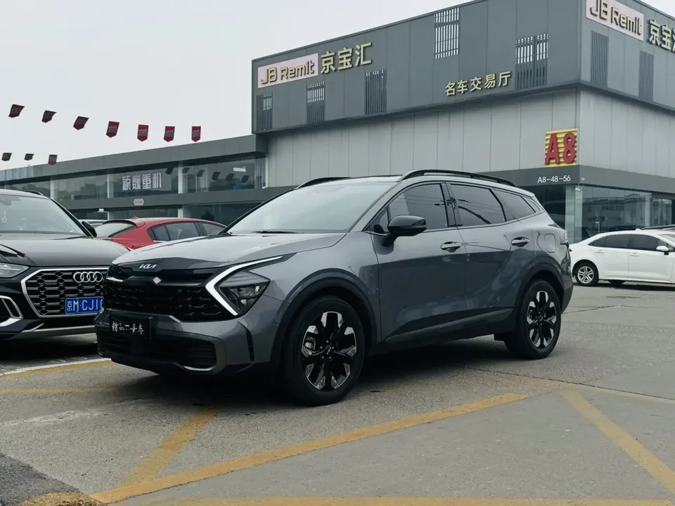 Kia Lion Platinum Expands the Boundary 2024