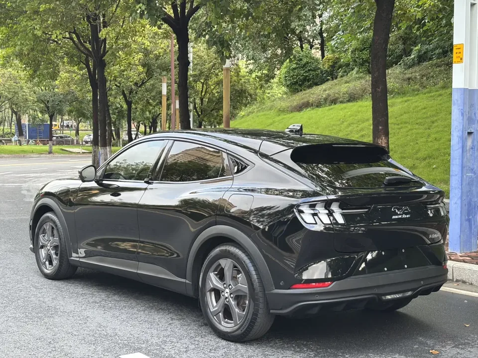 Ford electric horse rear-wheel drive version (standard range) 2022 — миниатюра 2