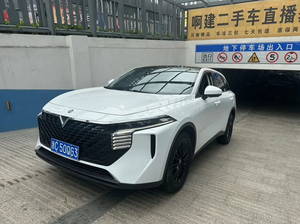Kai Chen Venucia Big V 2022