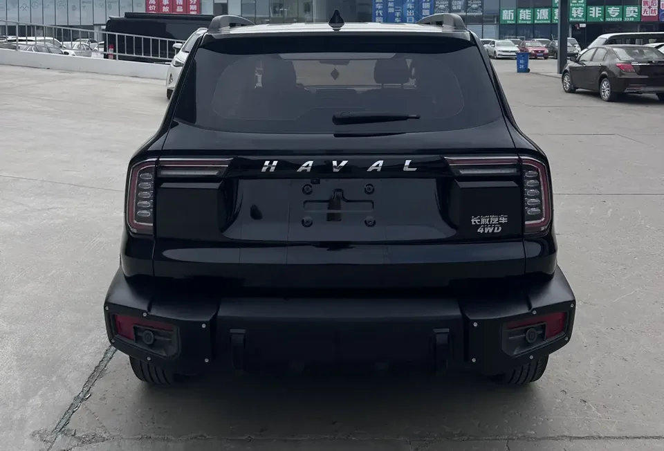 Haval Dargo 2.0T 4WD Chinese Pastoral Dog Hunting Edition 2023 — миниатюра 2