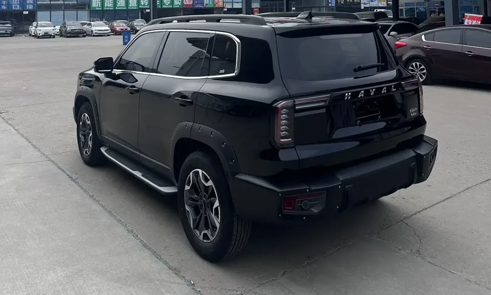 Haval Dargo 2.0T 4WD Chinese Pastoral Dog Hunting Edition 2023 — миниатюра 4