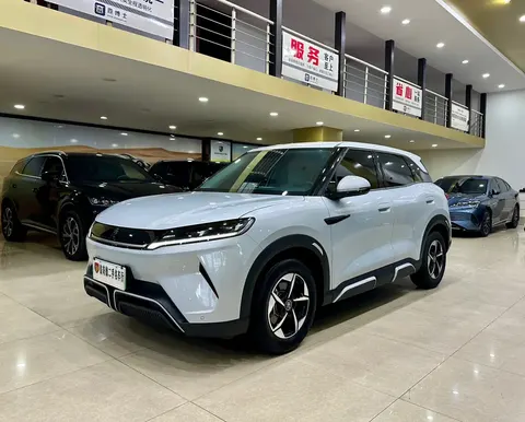 BYD Yuan Up 2024 buy in Moscow