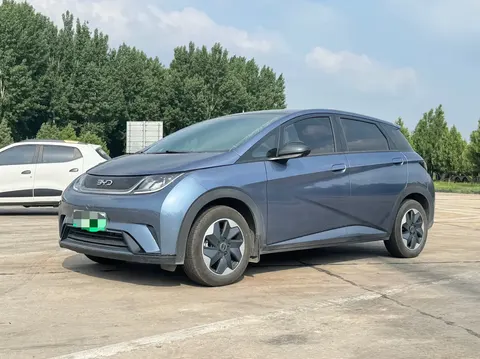 BYD Dolphin 2025 buy in Moscow