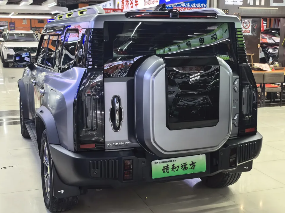 Jietu Shanhai Jetour Traveler C-DM 1.5TD DHT 129km 2WD Forest Edition 2025 — миниатюра 2