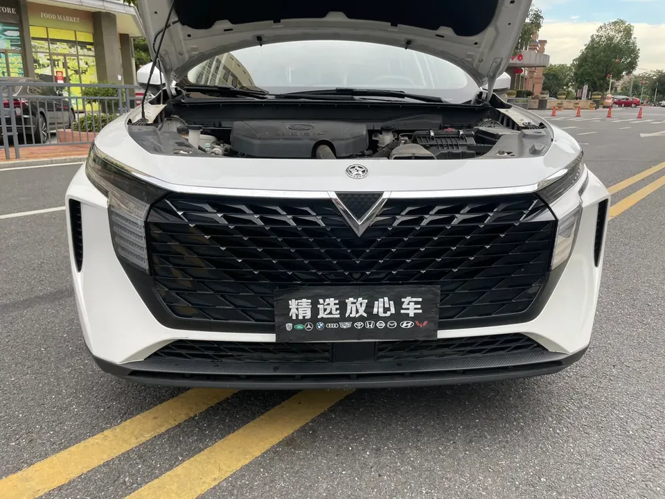 Kai Chen Venucia Big V Venucia Big V 2023 260T Idol Edition Pro 2023 — миниатюра 3