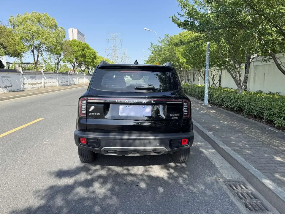 Haval Dargo Haval Big Dog 2024 2.0T four-wheel drive Chinese pastoral dog version 2024 — миниатюра 2