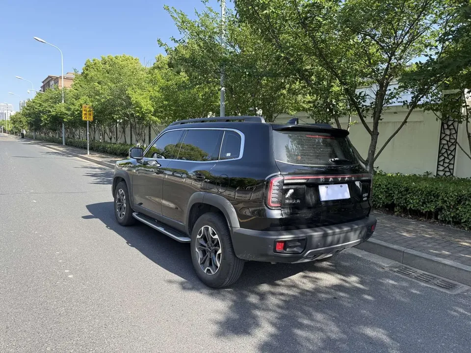 Haval Dargo Haval Big Dog 2024 2.0T four-wheel drive Chinese pastoral dog version 2024 — миниатюра 4