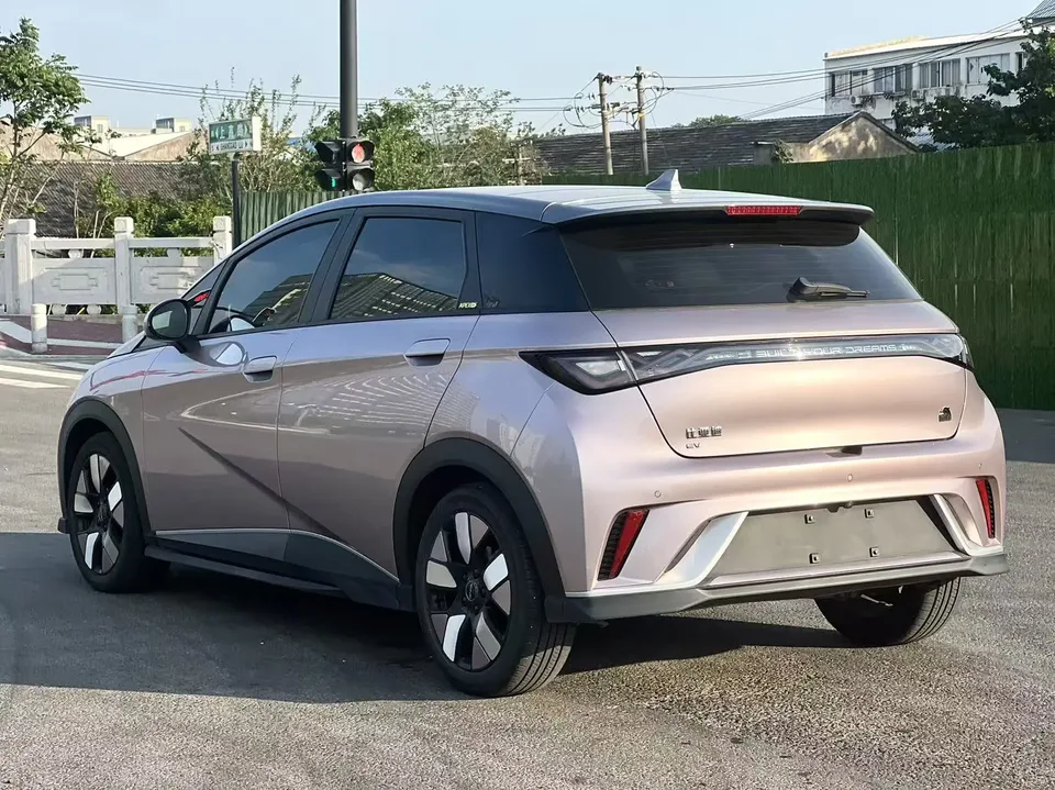 BYD Dolphin dolphin 2023 Knight Edition 2024 — thumbnail 2