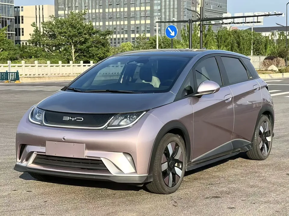 BYD Dolphin dolphin 2023 Knight Edition 2024 — photo 1, buy with delivery to Moscow