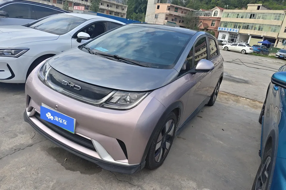 BYD Dolphin Dolphin 2021 Cavalier Edition 2023 — photo 1, buy with delivery to Moscow