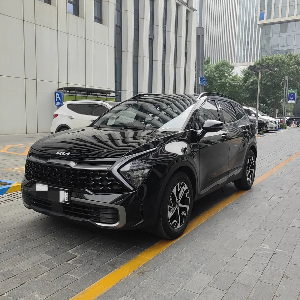 Kia Lion Platinum Expands the Boundary 2023