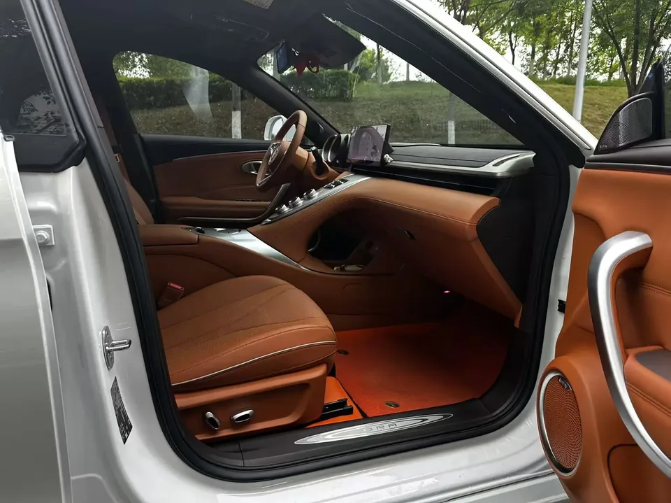 ORA Euler lightning cat 555km Premium Edition 2023 — миниатюра 3