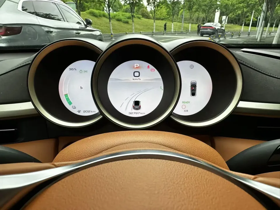 ORA Euler lightning cat 555km Premium Edition 2023 — миниатюра 4