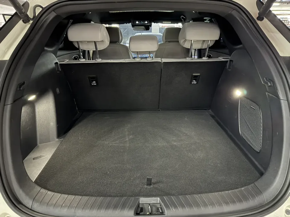BYD Sea Lion 06DM DM-i 170KM Pilot Plus Edition 2025 — миниатюра 4