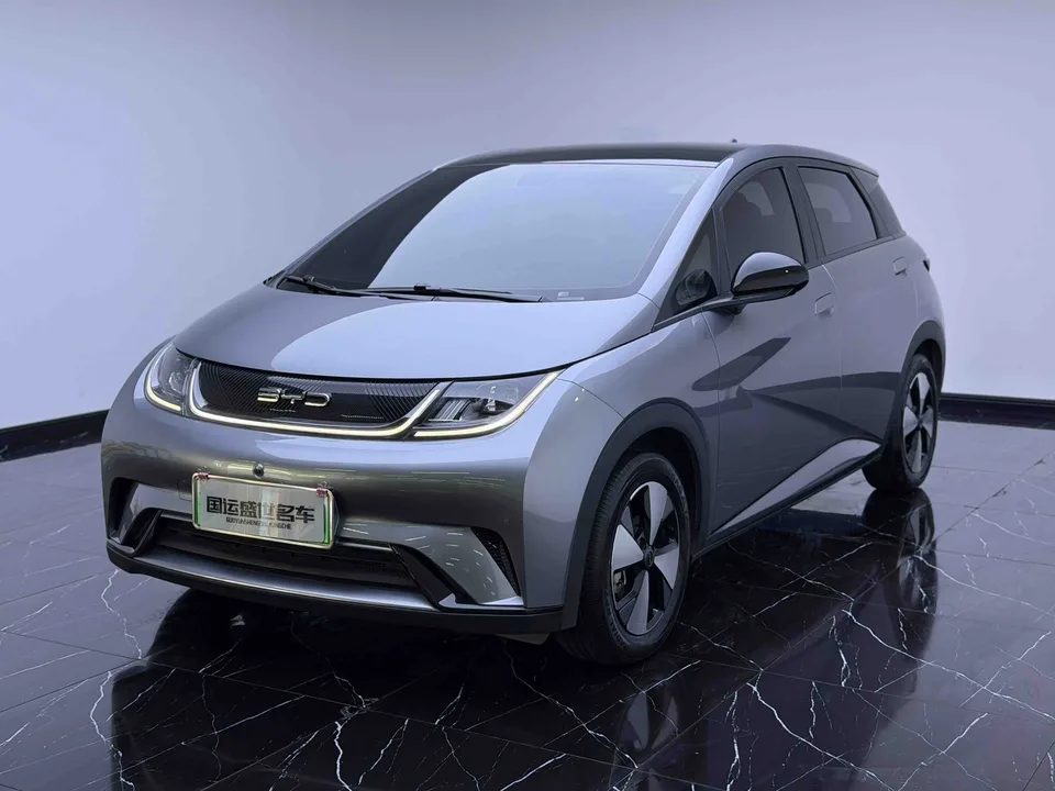 BYD Dolphin Dolphin Dolphin 2023 Fashion Edition 2023 — photo 1, buy with delivery to Moscow
