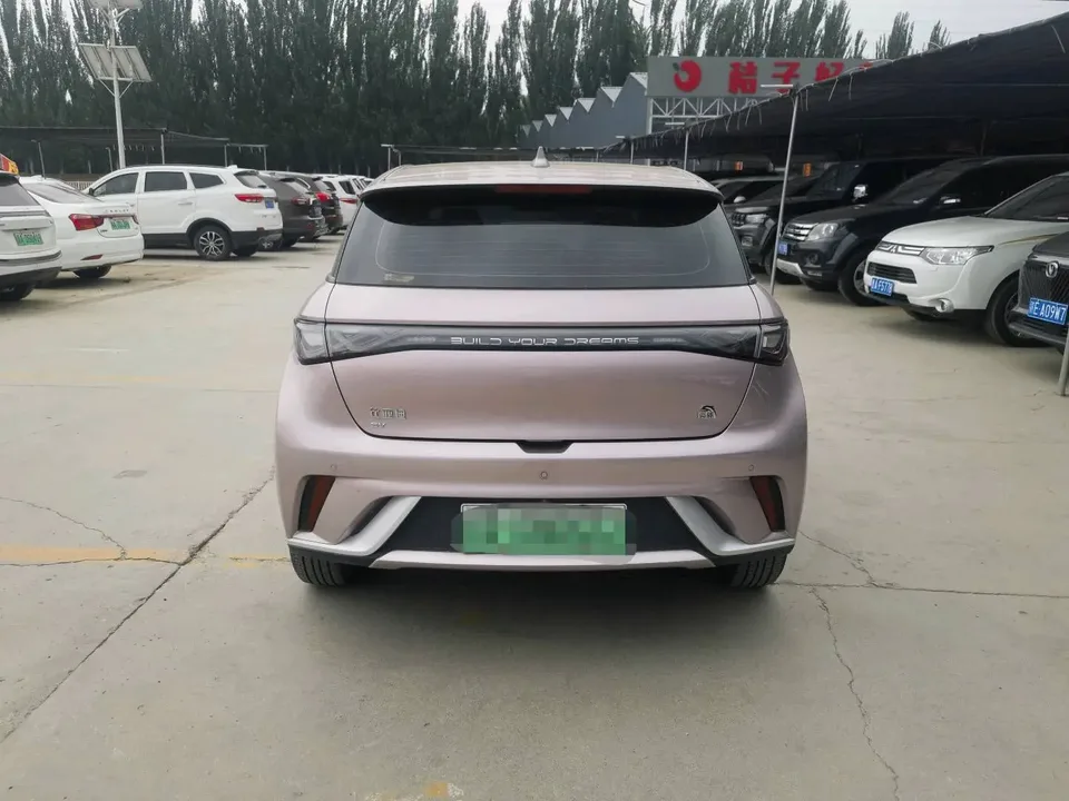 BYD Dolphin Dolphin Fashion Edition 2023 — thumbnail 2