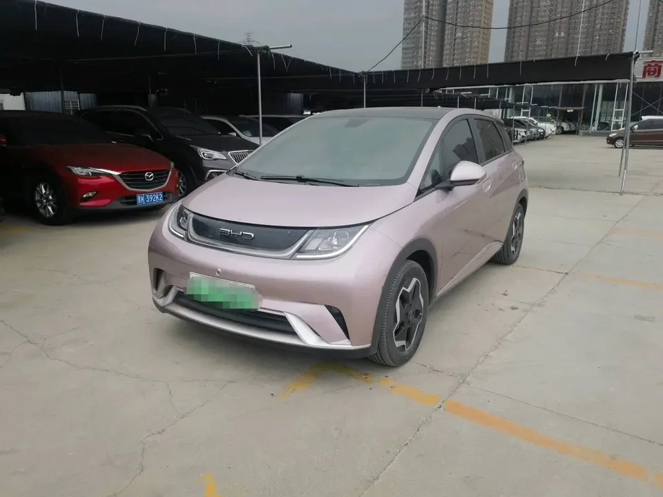 BYD Dolphin Dolphin Fashion Edition 2023 — photo 1, buy with delivery to Moscow
