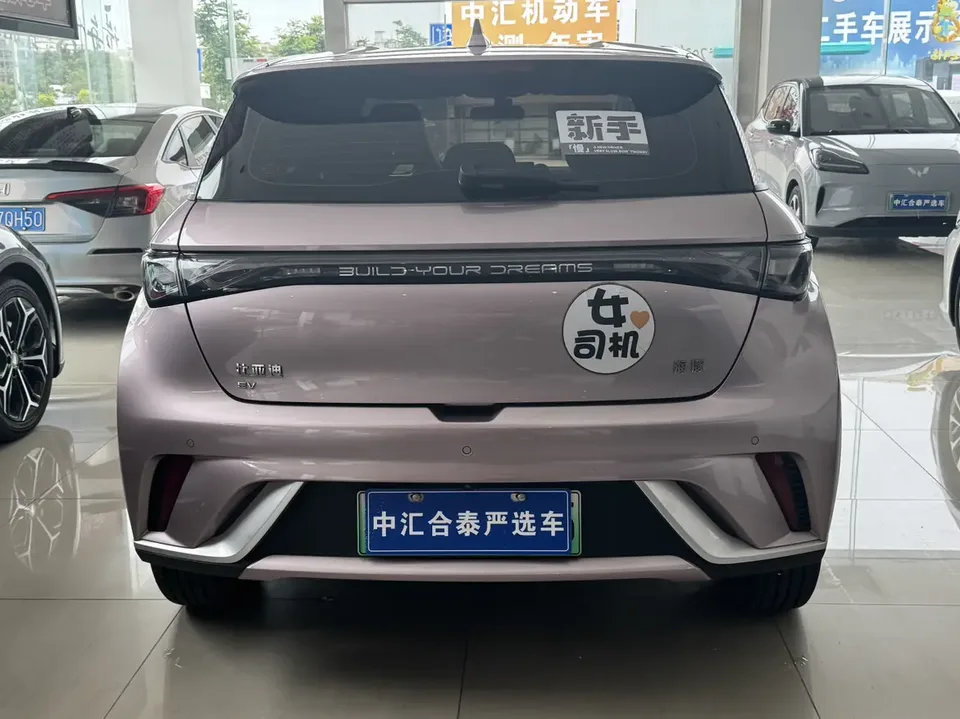 BYD Dolphin Honor Edition 420km Free Edition 2024 — миниатюра 2