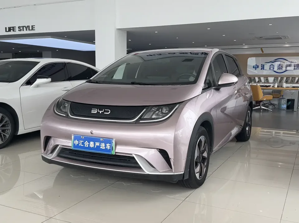 BYD Dolphin 2024