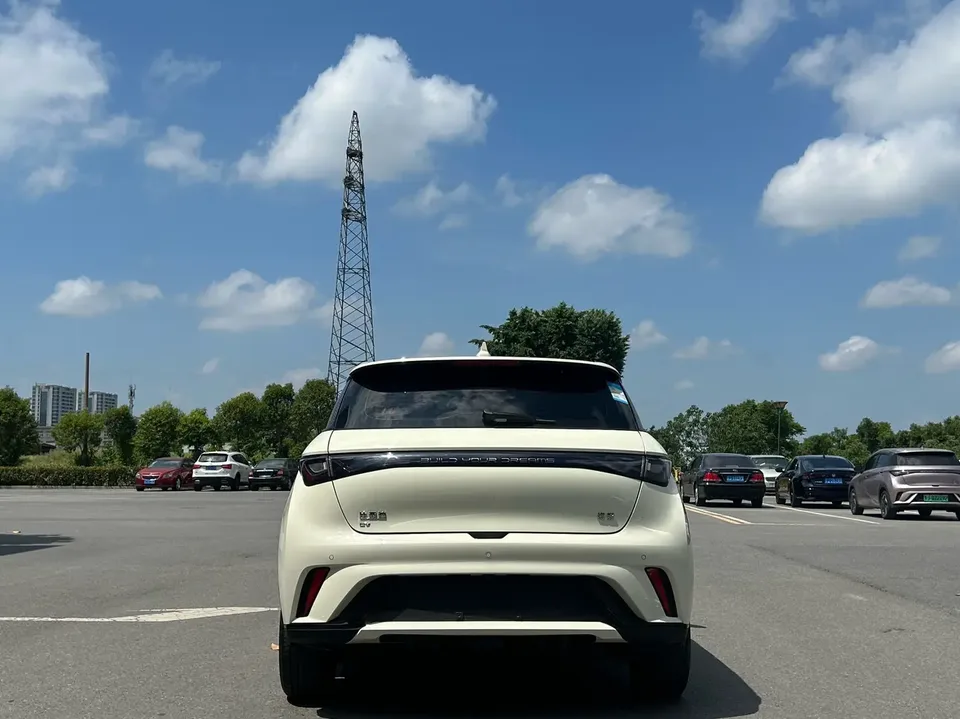 BYD Dolphin Honor Edition 420km Free Edition 2025 — миниатюра 2