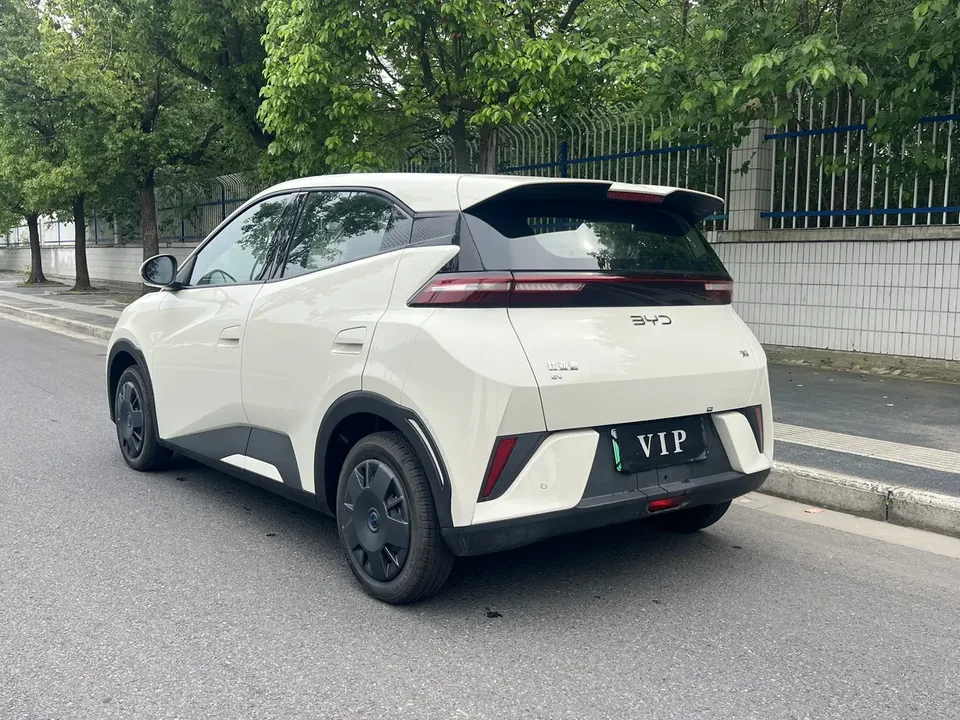 BYD Seagull Seagull Seagull 2025 305KM Vitality Edition 2026 — thumbnail 4