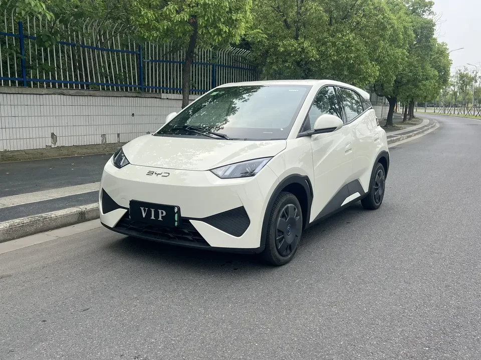 BYD Seagull Seagull Seagull 2025 305KM Vitality Edition 2026 — photo 1, buy with delivery to Moscow