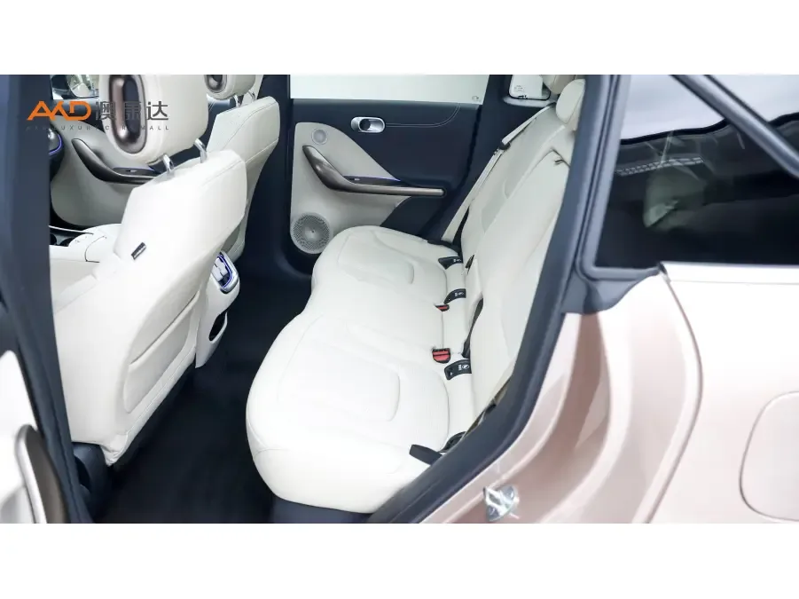 Smart Elf #1 smart Elf #1 2024 Premium 2023 — миниатюра 4