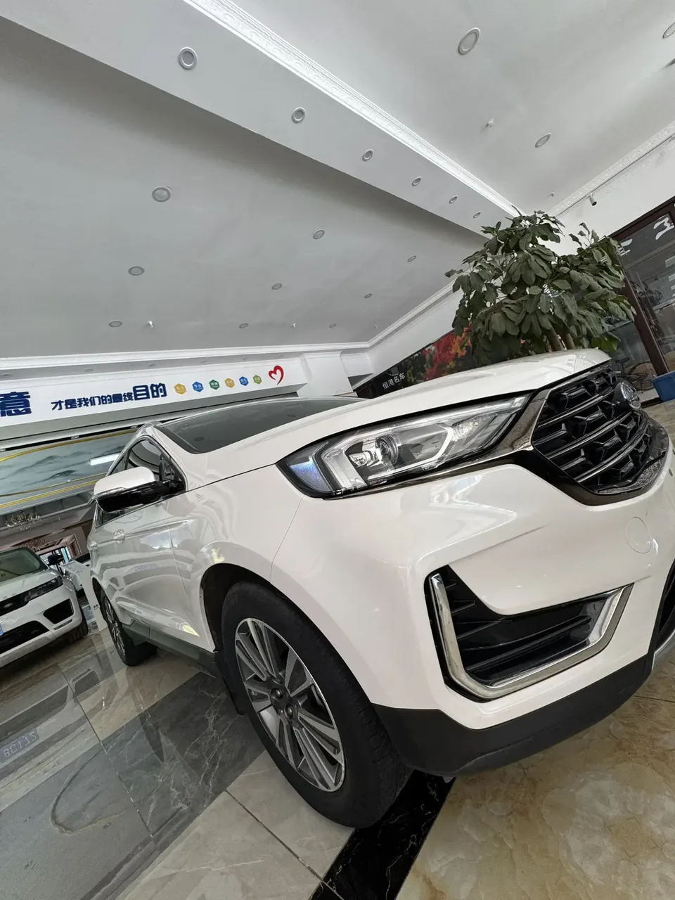 Ford Sharp boundary Ruijie 2021 PLUS EcoBoost 245 two-wheel drive elite 5-seater 2022 — миниатюра 5