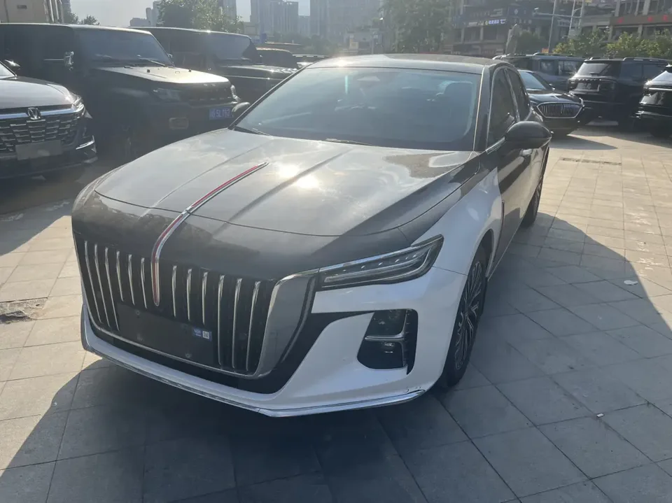 Hongqi H5 2024