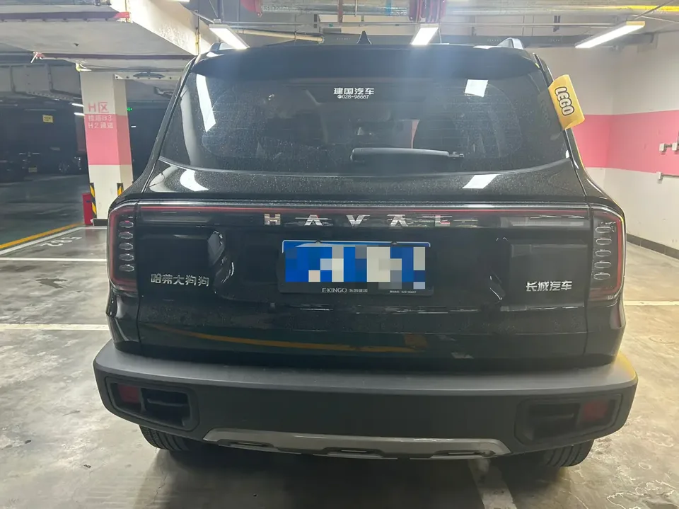 Haval Dargo Haval Big Dog 2024 1.5T 2WD Border Collie Edition 2025 — миниатюра 2
