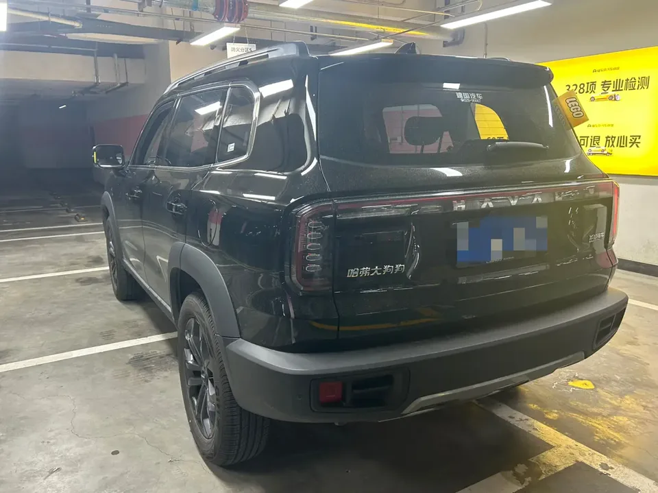 Haval Dargo Haval Big Dog 2024 1.5T 2WD Border Collie Edition 2025 — миниатюра 4