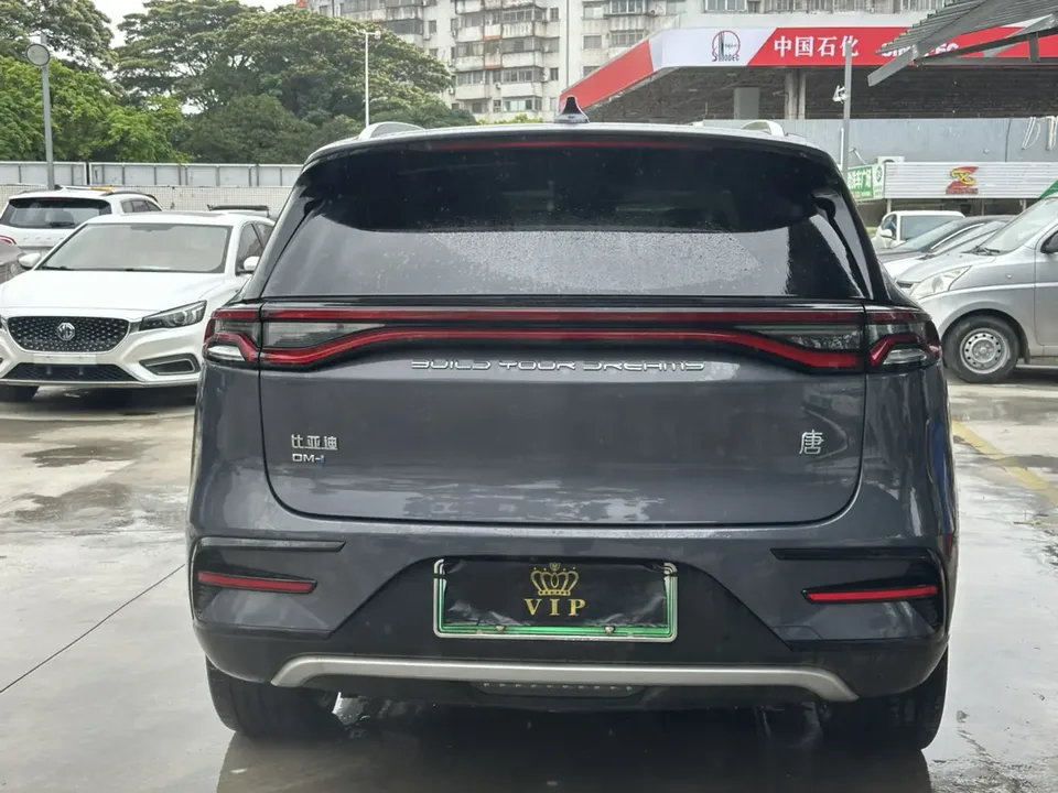 BYD Tang DM DM-i Champion Edition 112KM Premium Edition 2024 — миниатюра 2