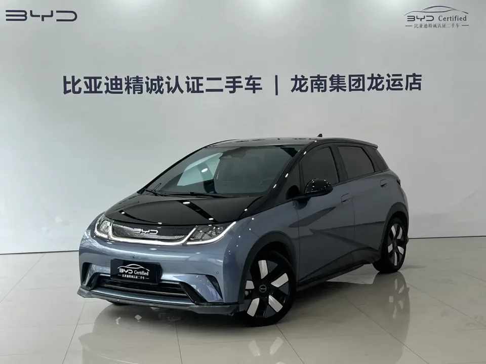 BYD Dolphin Dolphin Dolphin 2023 Cavalier Edition 2023 — photo 1, buy with delivery to Moscow