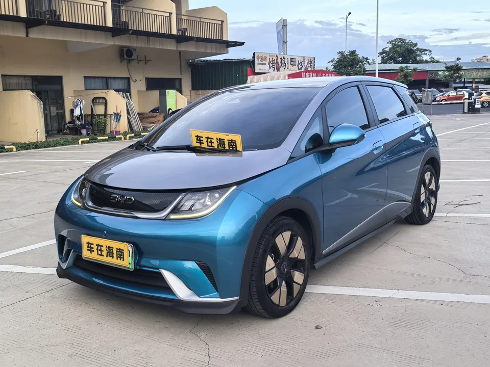 BYD Dolphin Dolphin Cavalier Edition 2022 — photo 1, buy with delivery to Moscow