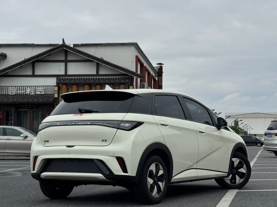 BYD Dolphin Dolphin 2025 420KM Freedom Edition 2025 — миниатюра 2