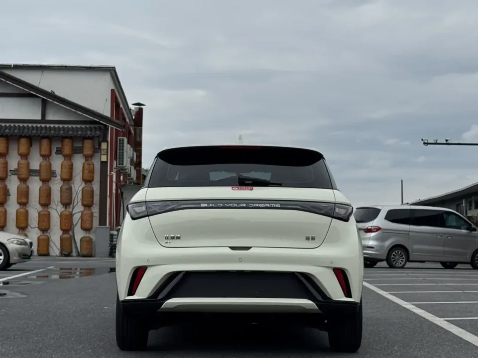 BYD Dolphin Dolphin 2025 420KM Freedom Edition 2025 — миниатюра 4