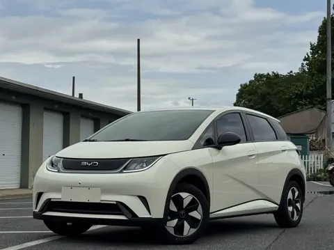 BYD Dolphin 2025 buy in Moscow