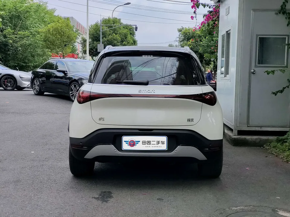 Smart Elf #1 Smart Standard Edition 2024 — миниатюра 2