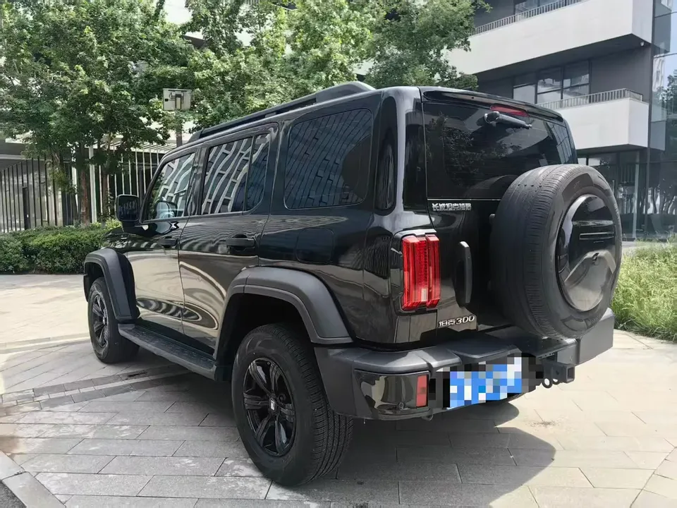 Tank 300 Tank 300 2023 off-road version 2.0T Challenger 2024 — миниатюра 4
