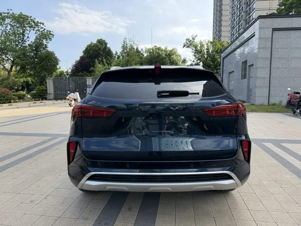WEY Mocha 2.0T four-wheel drive special version 2022 — миниатюра 2