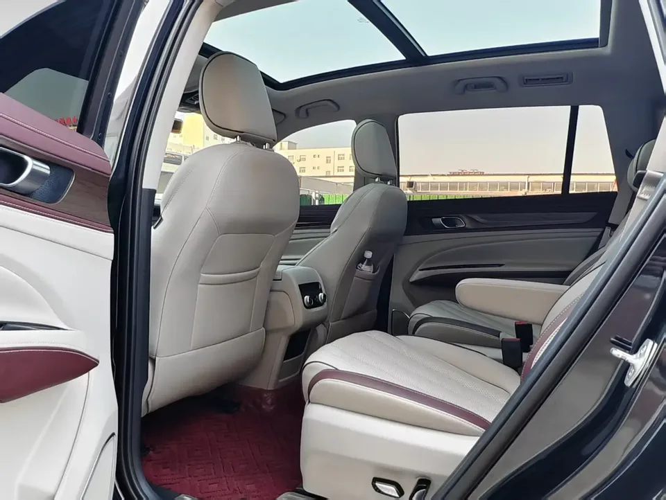 Ford Lingyu EcoBoost 225 6-seater collar type 2023 — миниатюра 3