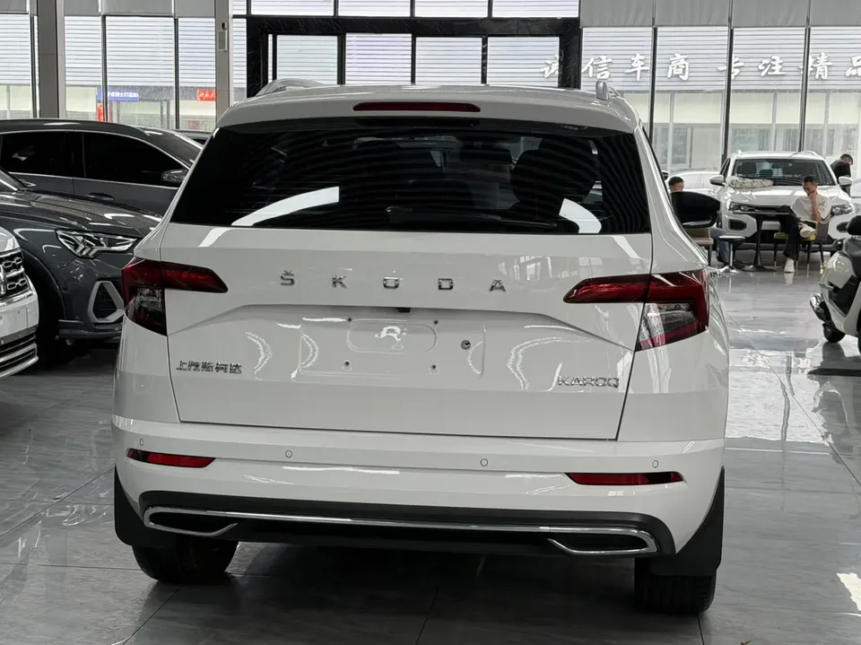 Skoda Karoq TSI280 Luxury Edition 2022 — миниатюра 2