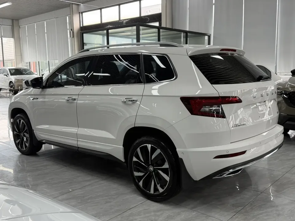 Skoda Karoq TSI280 Luxury Edition 2022 — миниатюра 4
