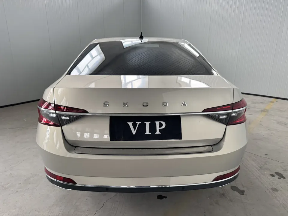 Skoda Speedy TSI280 DSG Exclusive Edition 2022 — миниатюра 2