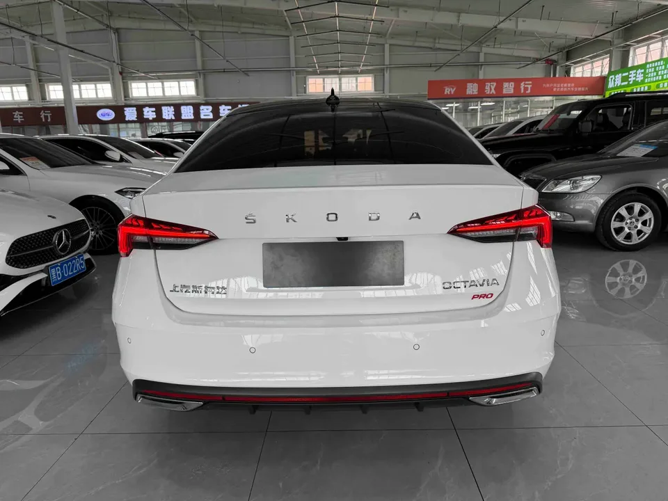 Skoda Octavia PRO TSI280 DSG Premium Edition 2022 — миниатюра 2